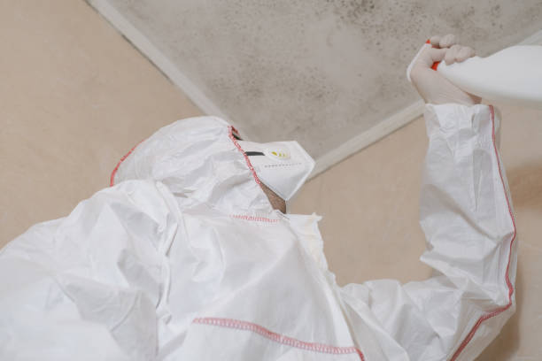 Best HVAC Mold Remediation in Dublin, OH