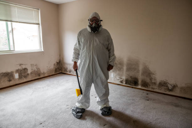 Best Kitchen Mold Remediation in Dublin, OH